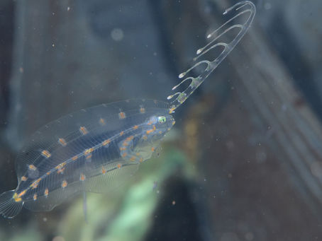 やっぱり海はいいね!!