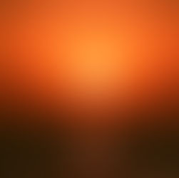 穏やか、少人数、しかも春の気温、冬ダイビング最高【ほぼ貸切柏島ダイビング!】1/17（金）-19（日)