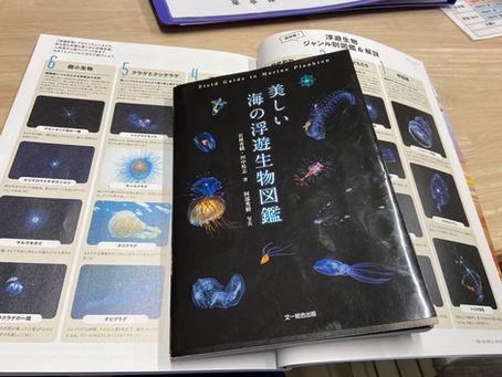 臨時休業のお知らせ！