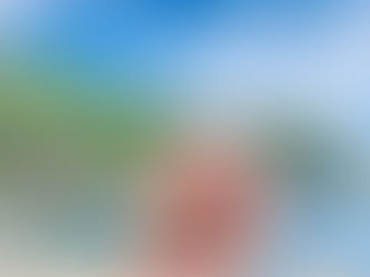 おかげ様で、9周年、感謝!【透明度抜群♪鵜来島、柏島ダイビングツアー】2025/7/18-21