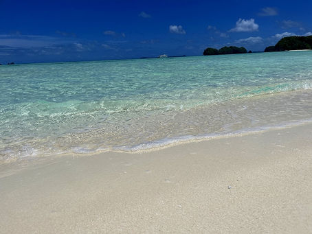 パラオ最終日、観光