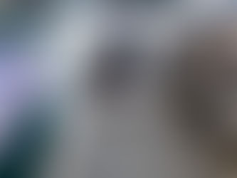 ホムラハゼ初めて見つけた！