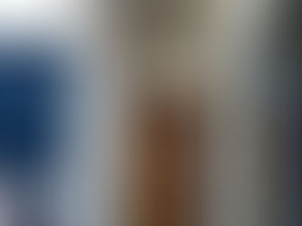 ついにツバメがKANAUへ?