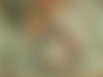 ベタ凪の串本でガッツリマクロ!【間近でカメにも会えた♩串本ダイビングツアー】2022/10-18-19