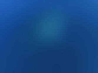 シークワサーあん入り？