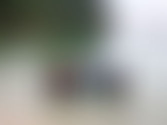 大阪ECOダイビングゼミ実習2D-A