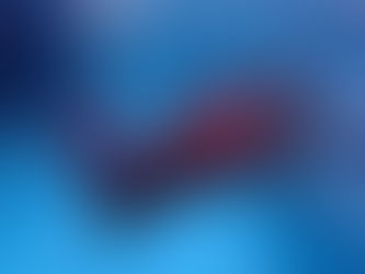 アルビノイルカとダイビング!【間近でイルカと泳げる♩串本イルカプールツアー】2022/3/28