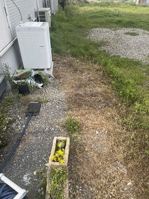 やったー！