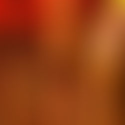 今日から奄美クジラスイム