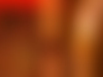 今日から奄美クジラスイム