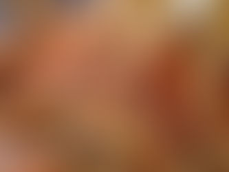 北風がすごかったので蟹だけ食べて帰りました♪【気持ちはダンゴウオの抱卵を見て】竹野ダイビングツアー3/13