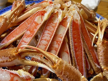 北風がすごかったので蟹だけ食べて帰りました♪【気持ちはダンゴウオの抱卵を見て】竹野ダイビングツアー3/13