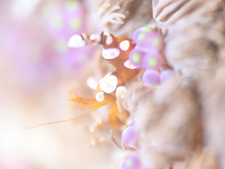 ほんまー、腹立つなー