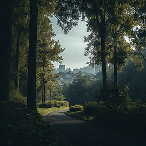 park.jpg