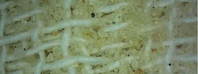 Anatex Premium w powiększeniu