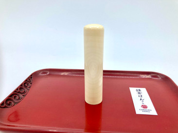 最高品質　横目芯持象牙