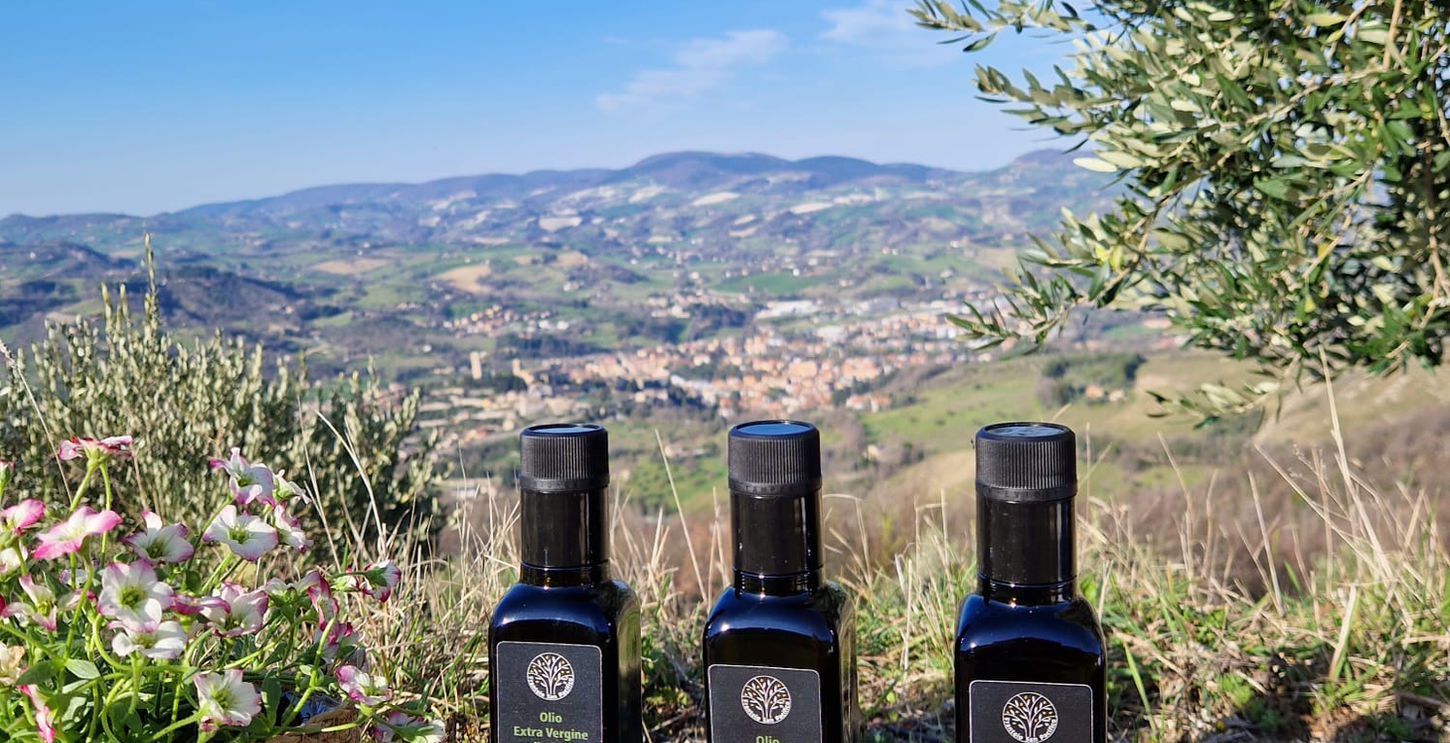 Immagine WhatsApp 2023-03-26 ore 17.10.53.jpg