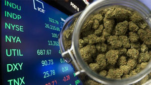 First Medical Marijuana Company Goes Onto U.S. Stock Exchange