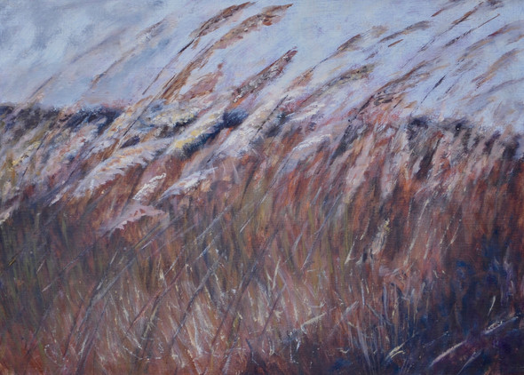 Renesse 4 | olieverf op papier | 35x25