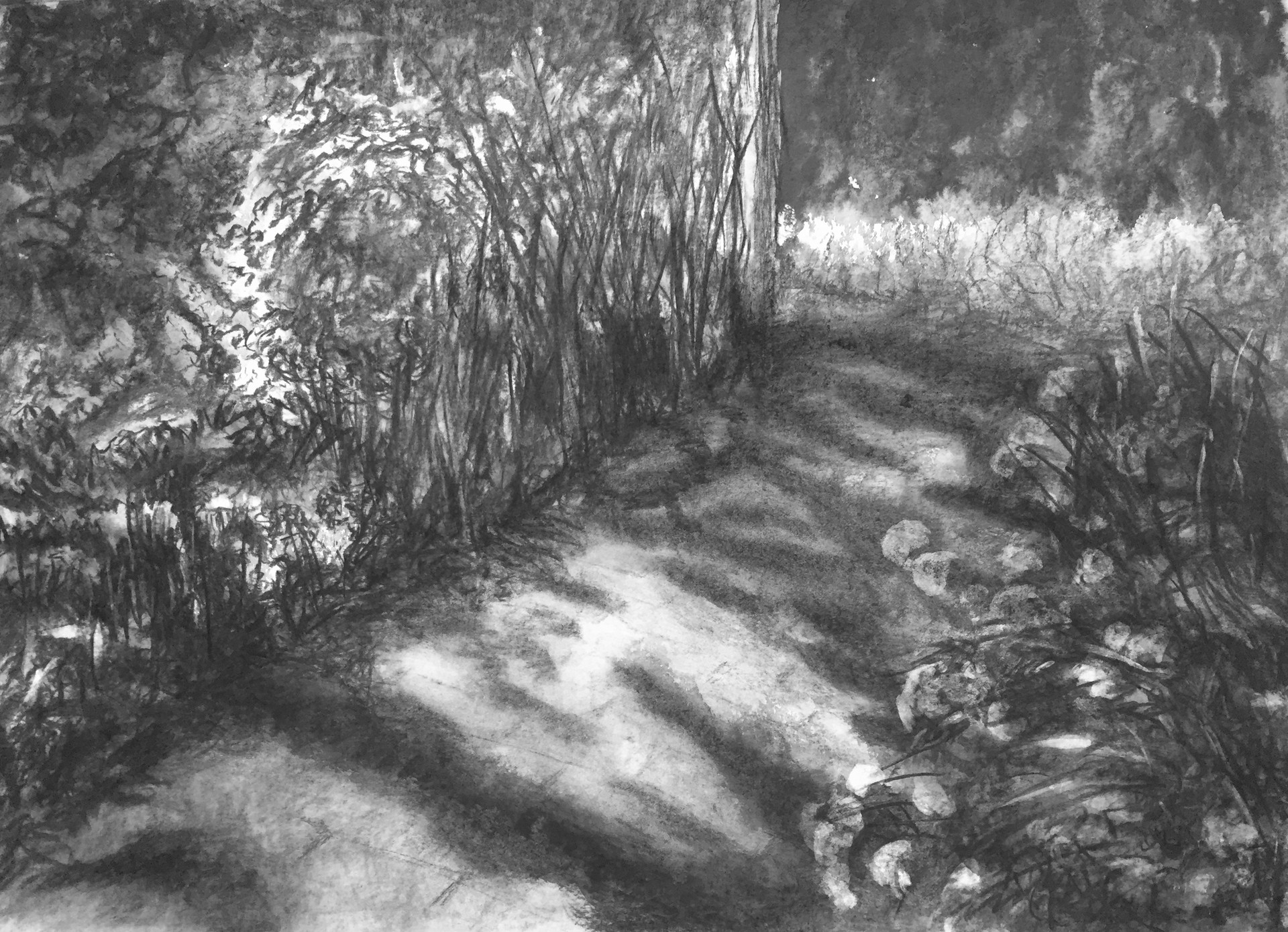 Tuinpad 3 | gem. techn. op papier | 70x50