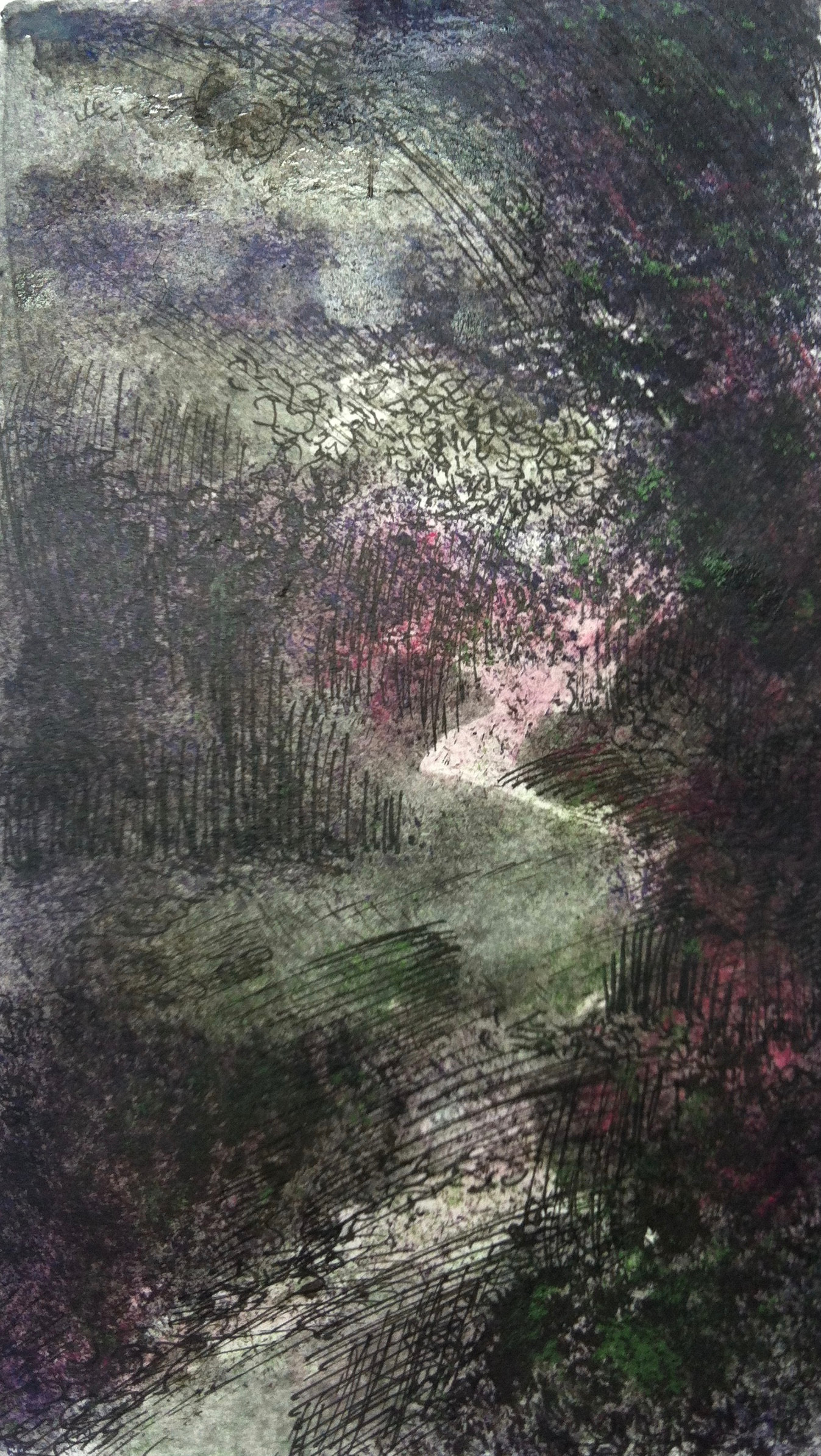 Bospad 1 | inkt op papier | 10x16