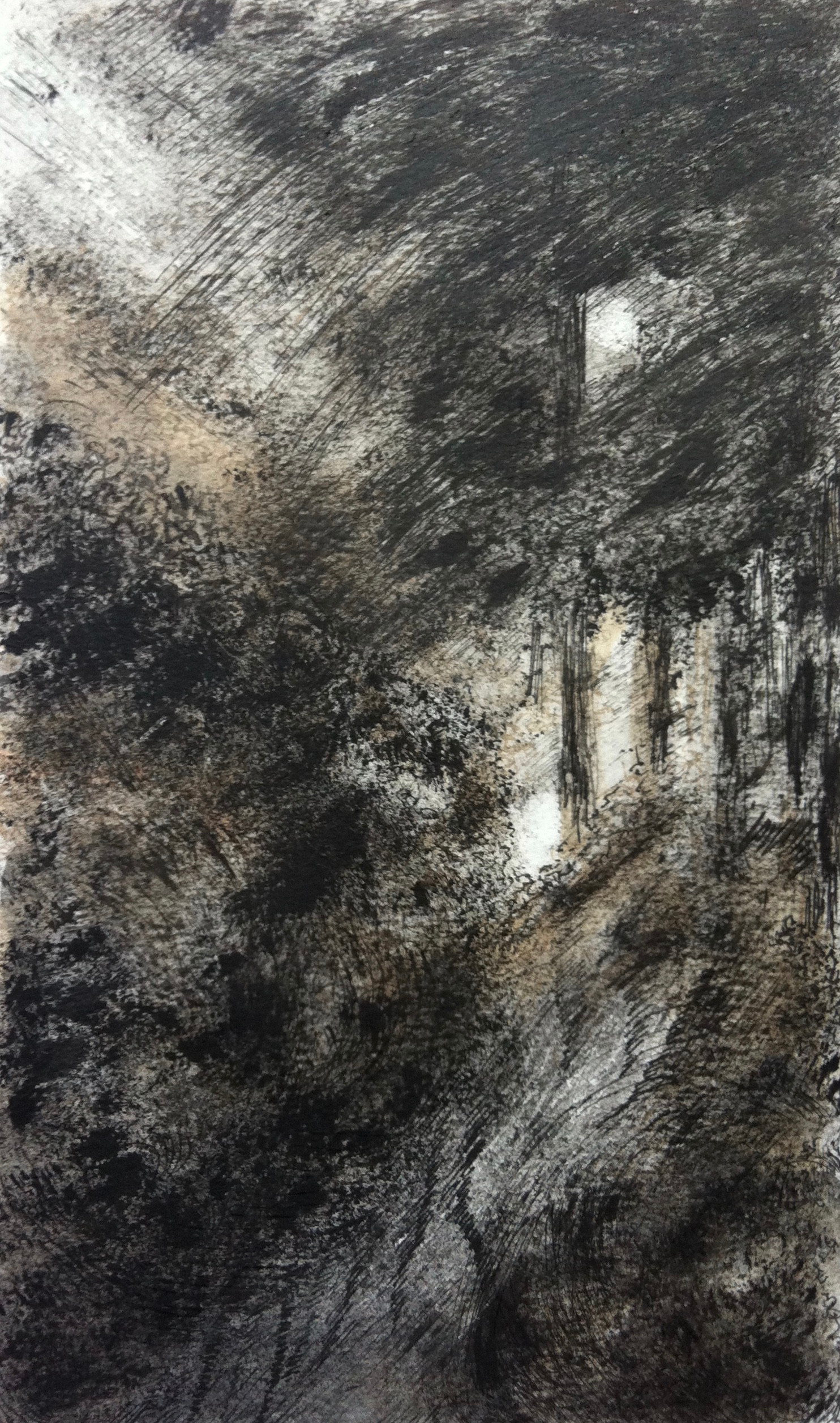 Bospad 2 | acryl en inkt op papier | 15x25