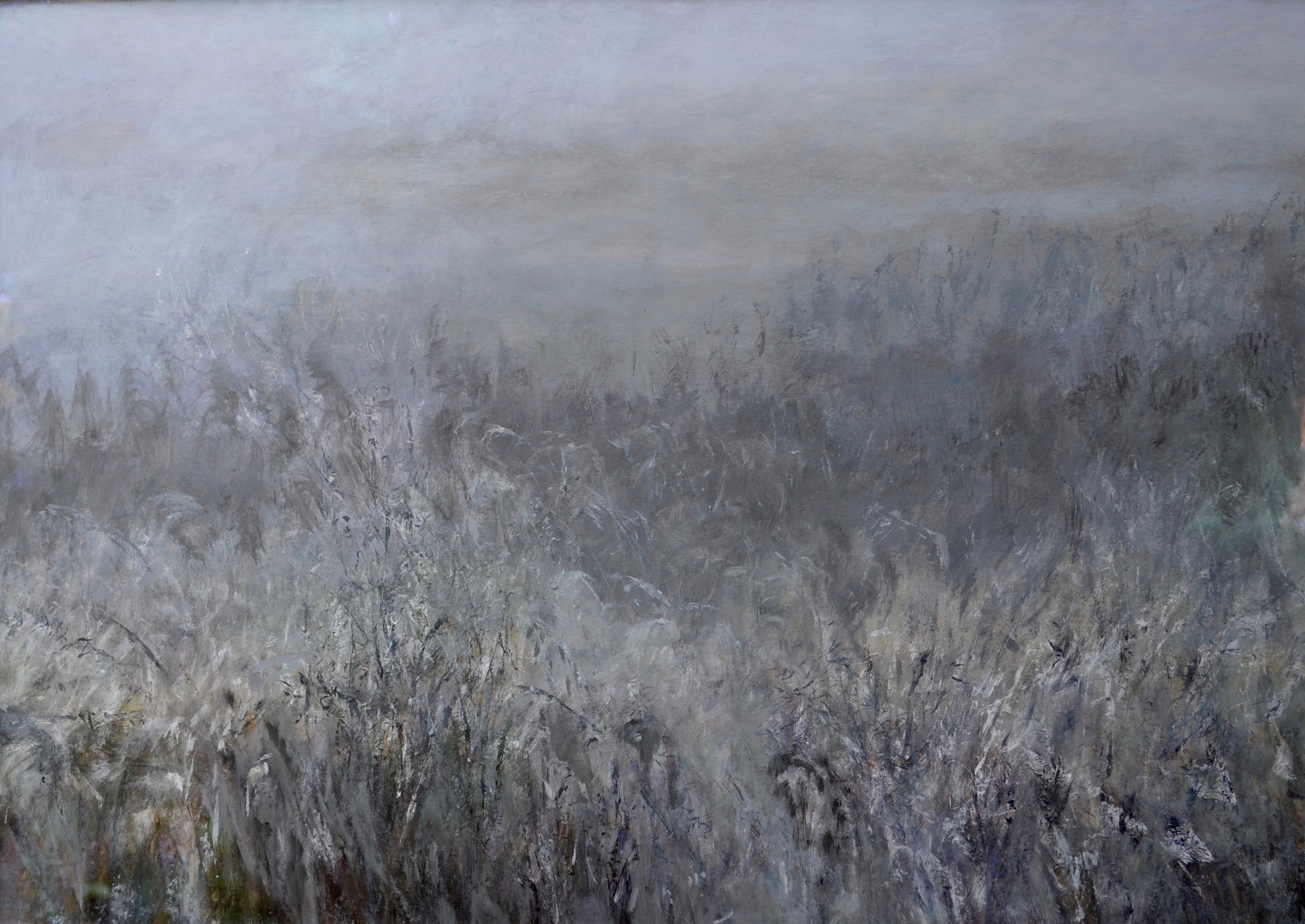 't Roegwold 1 | gem. techn.| 70x50