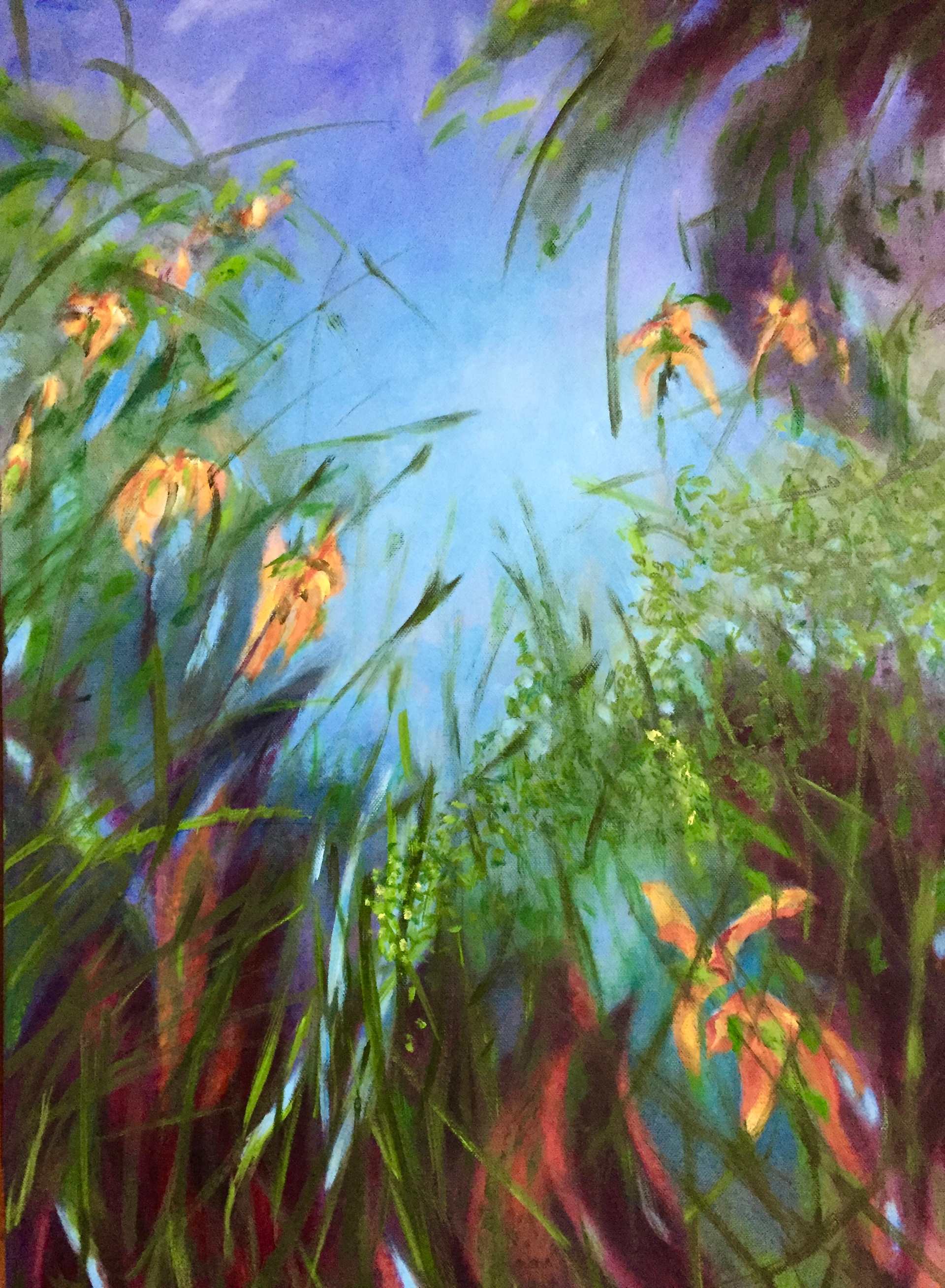 Opa's tuin 1 | olieverf op doek | 50x70