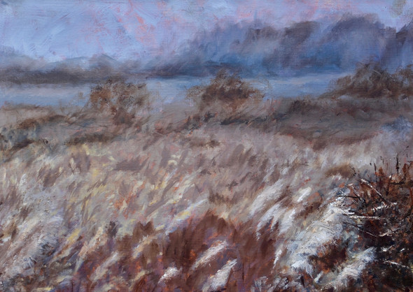 Renesse 2 | olieverf op papier | 35x25