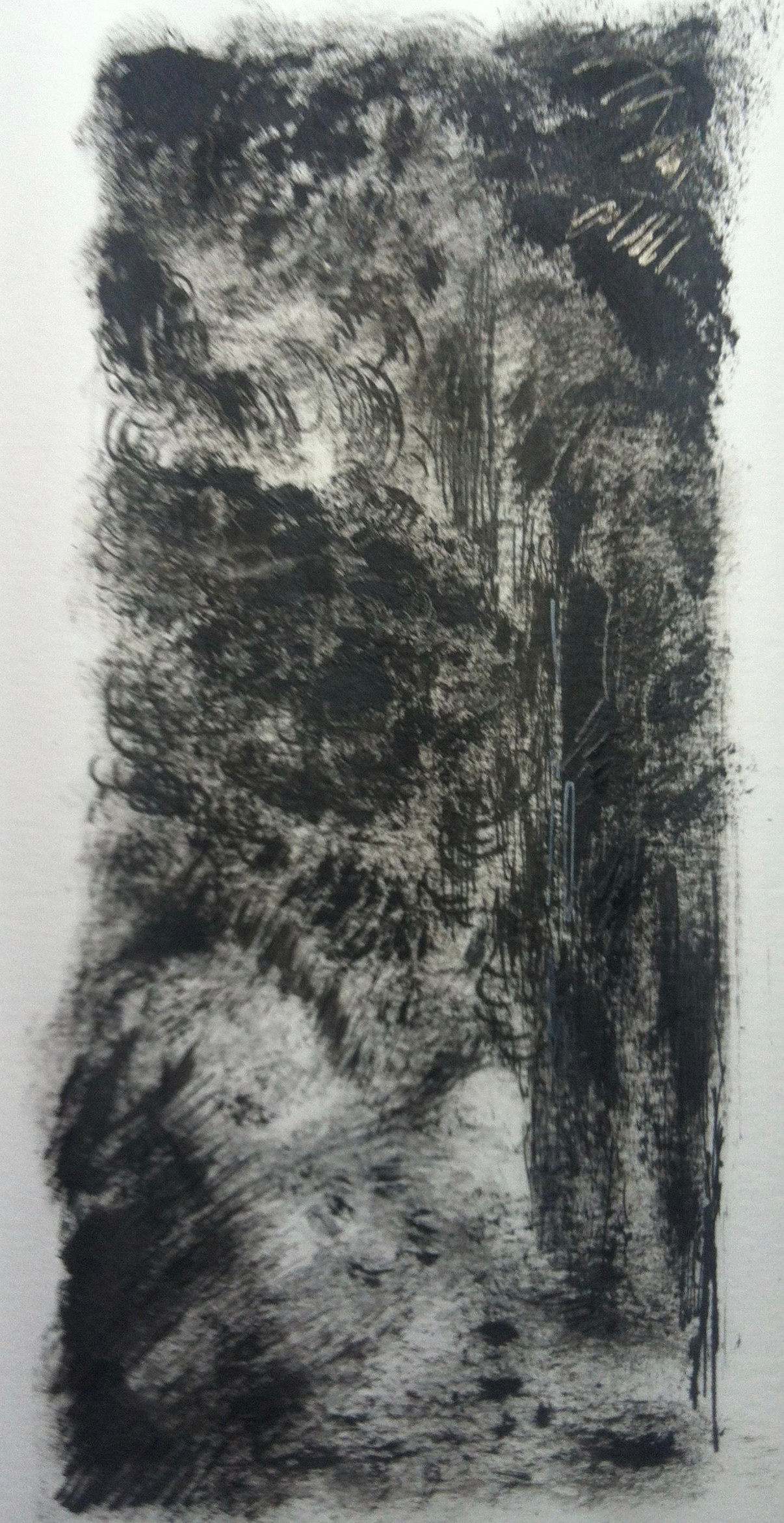 Bospad 3 | acryl, potlood op papier | 8x18
