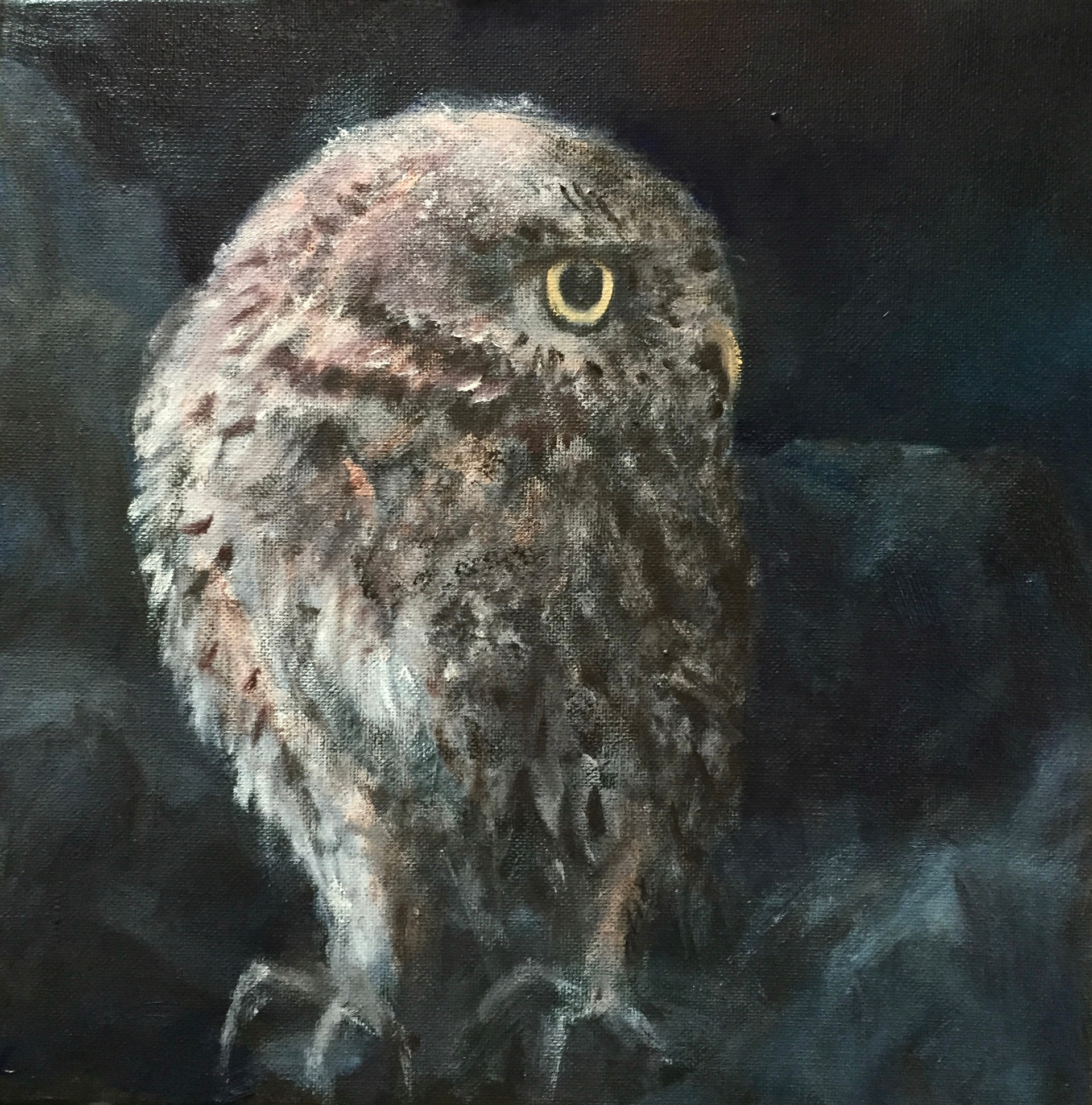 Uiltje 3 | olieverf op paneel | 30x30