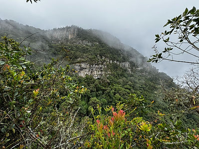 IMG_6158 3.JPG