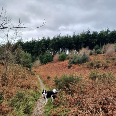 Another exciting adventure for this lot!