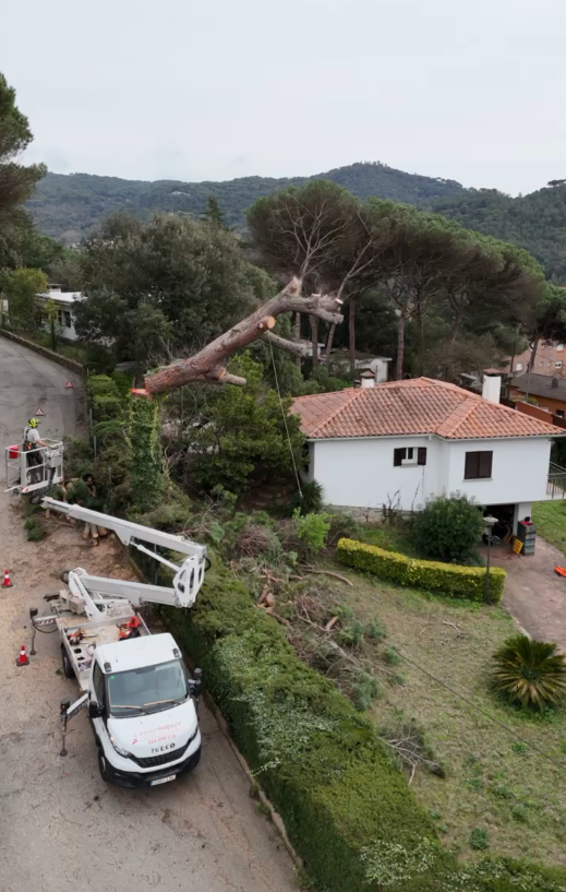 Captura de pantalla 2026-03-11 221238