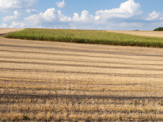 Agricultural and farmlands around Coimbatore