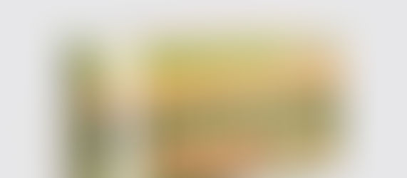 Monoprix entre dans la conversation sociale avec les #messagesenboite