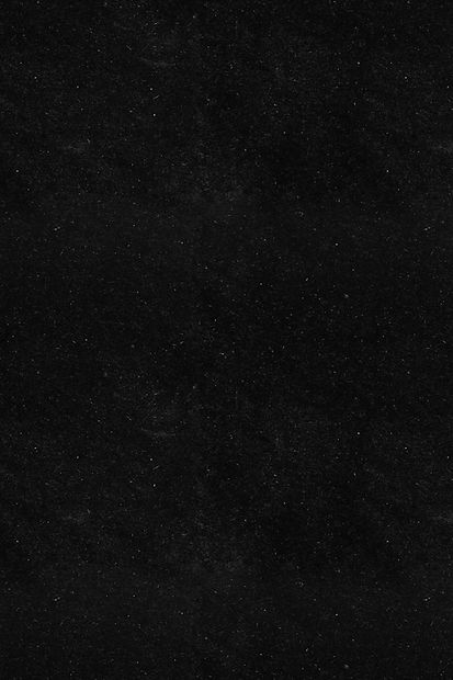 LOGO BACO fundo.jpg