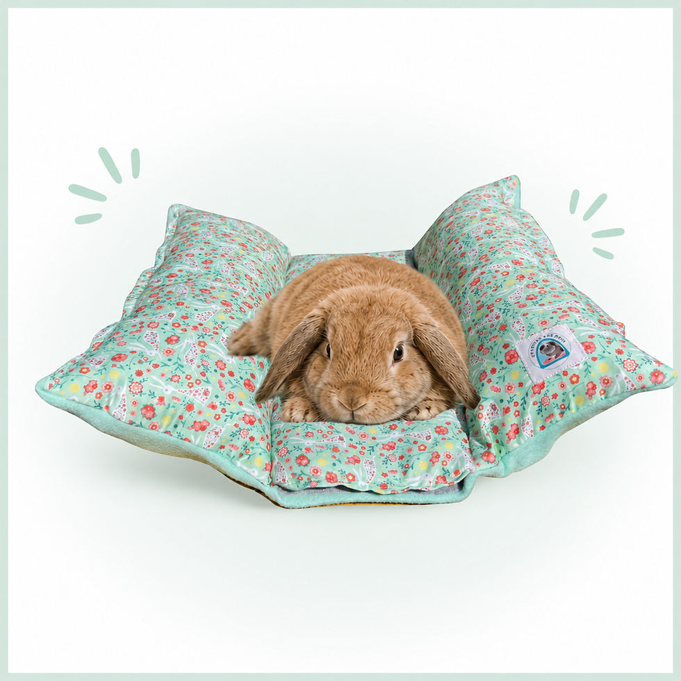 couchage rafraîchissant pour lapin, cochon d'inde