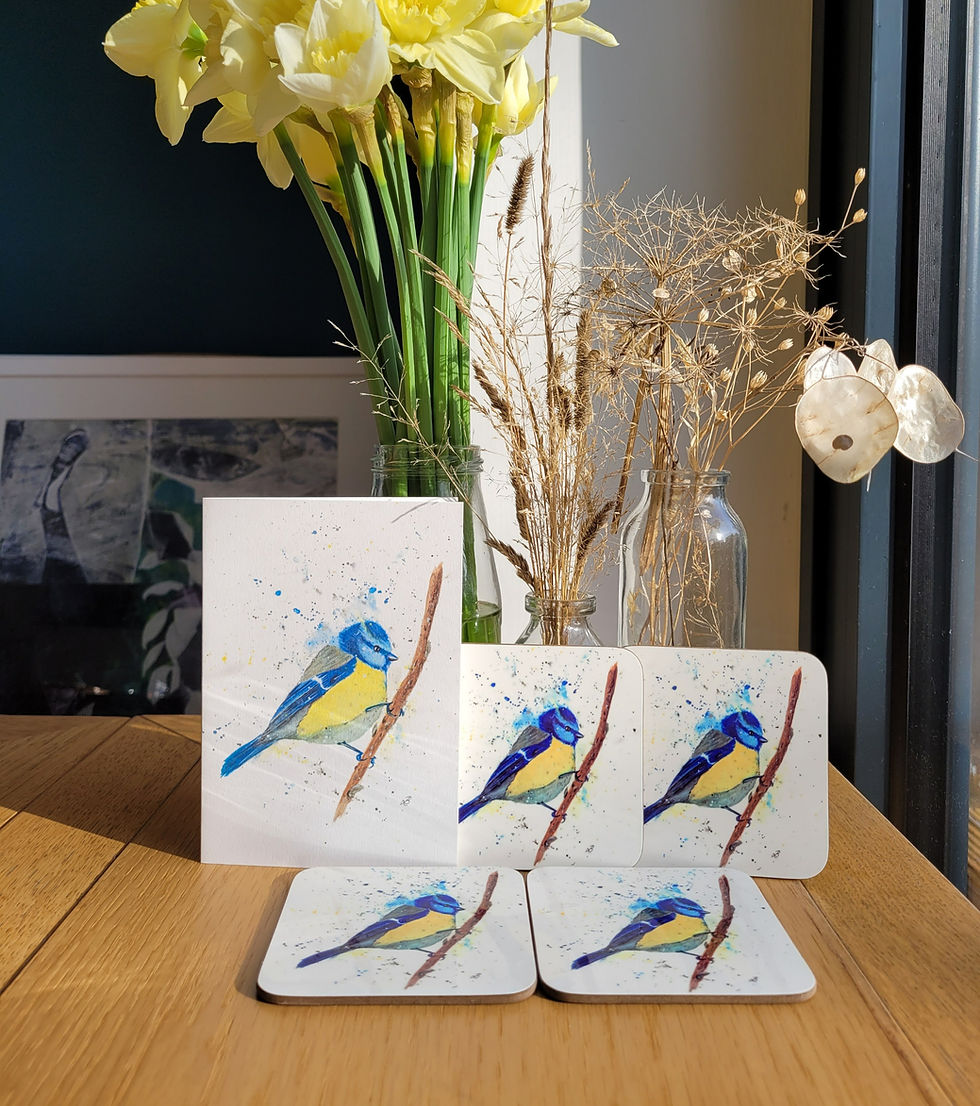 Thumbnail: Set of four blue tit coasters and matching greetings card. Watercolour blue tit bird on white background. Picture taken front