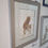 Thumbnail: Angle view (from LHS) of a framed red squirrel painting. Original watercolour depicting a red squirrel
