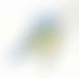 Watercolour painting of a bluetit by Louise Brook