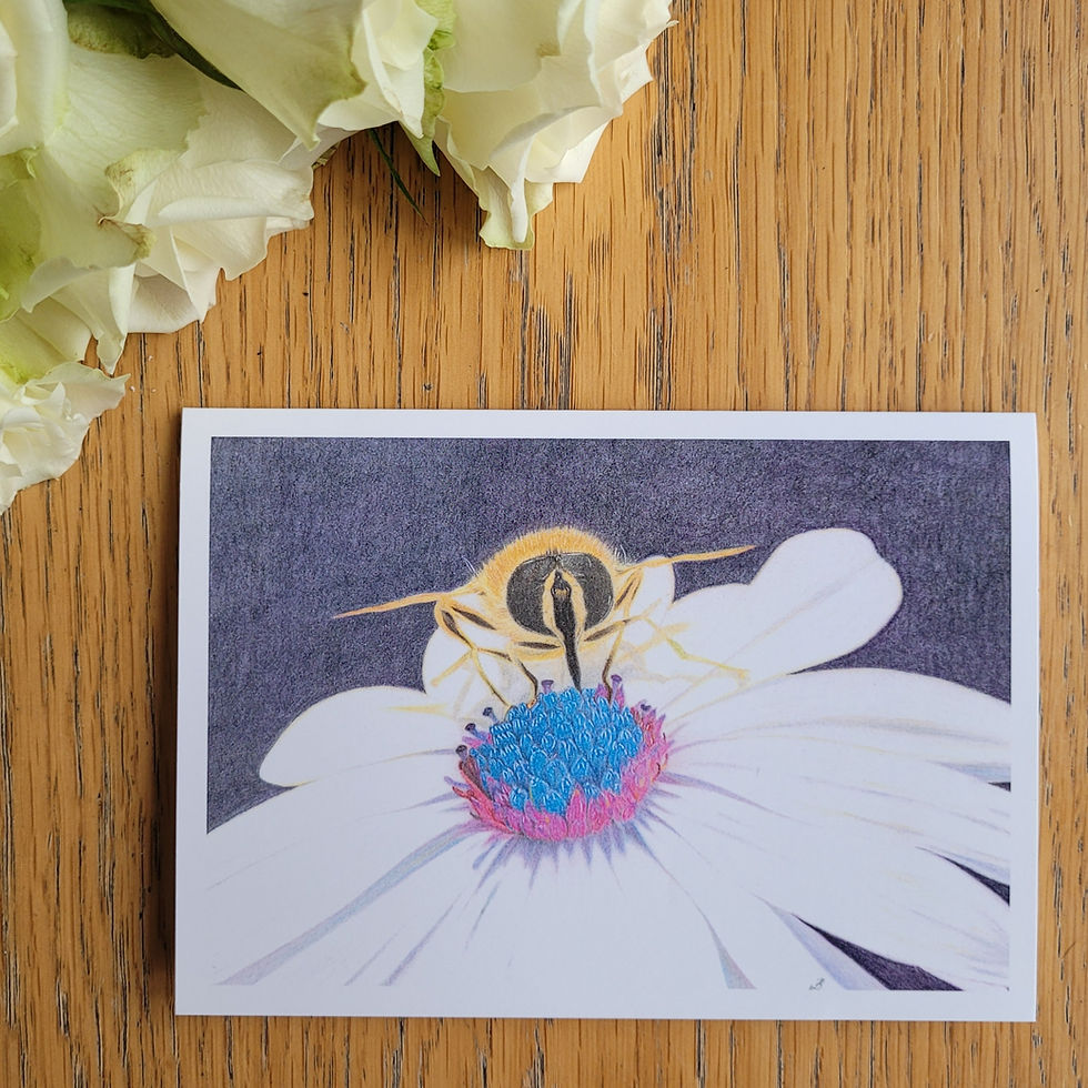 Thumbnail: Bee greetings card. Hyper-realistic coloured pencil drawing of a bee and an osteospermum flower, close flat lay presentation