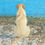 Thumbnail: Golden retriever staring out to sea from a pebble beach. Detailed coloured pencil drawing. Pesented as a scan of the artwork.