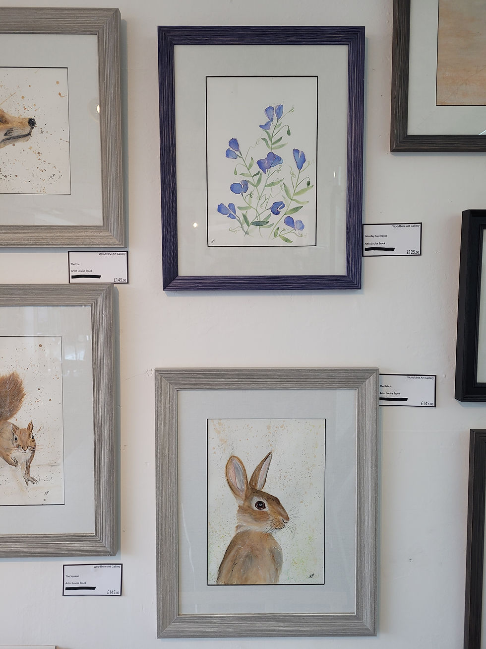 Thumbnail: Framed Wild Rabbit painting, presented in a gallery setting. Original watercolour depicting an alert wild rabbit