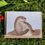 Thumbnail: Close up of a cute otters greetings card (two otters hugging), flat lay presentation