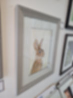 Thumbnail: Close up, angled view (from LHS) of a framed Wild Rabbit painting. Original watercolour depicting an alert wild rabbit