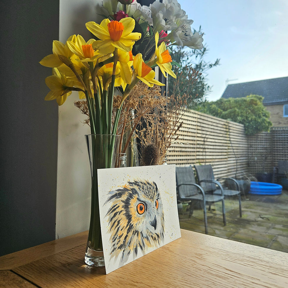Thumbnail: Side view of an unmounted A5 print of an eagle owl, in watercolour