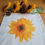 Thumbnail: Close up of a sunflower cushion cover. Sunflower design against the white fabric background.