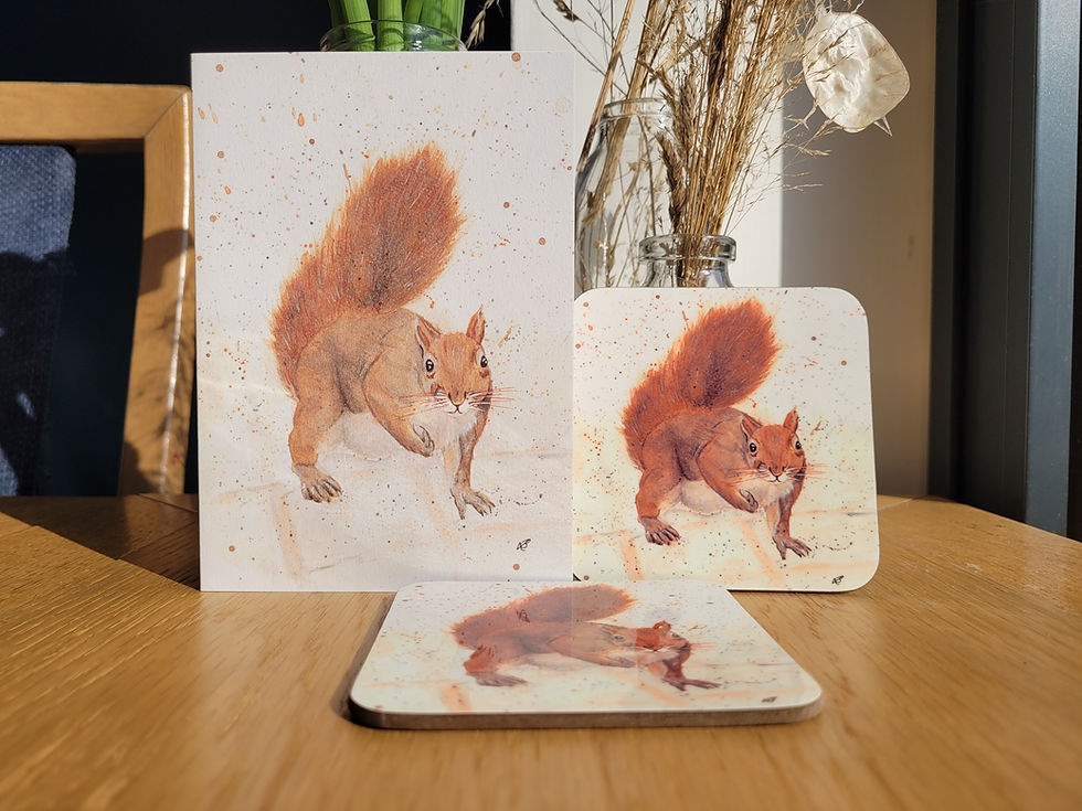 Thumbnail: Close up of set of two red squirrel coasters and matching greetings card. Watercolour red squirrel on a white background.