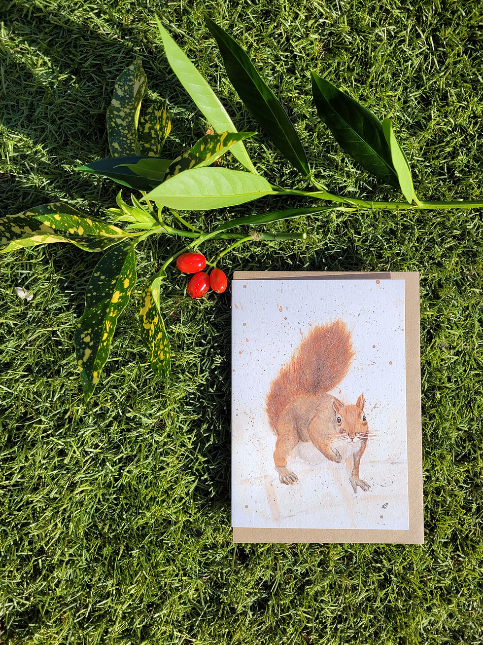 Thumbnail: Wild squirrel greetings card, flat lay presentation
